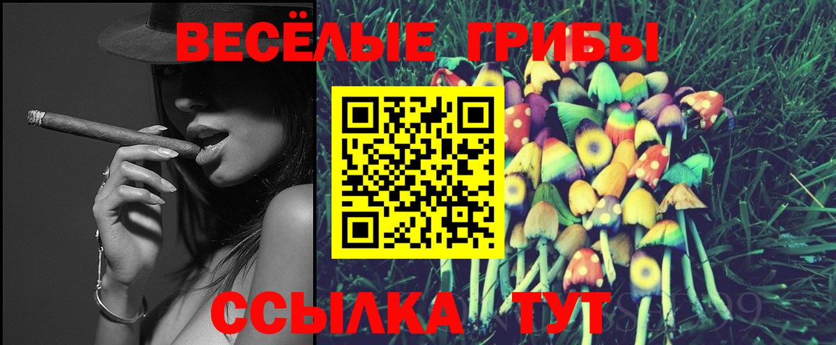 Галлюциногенные грибы мухоморы Кировск
