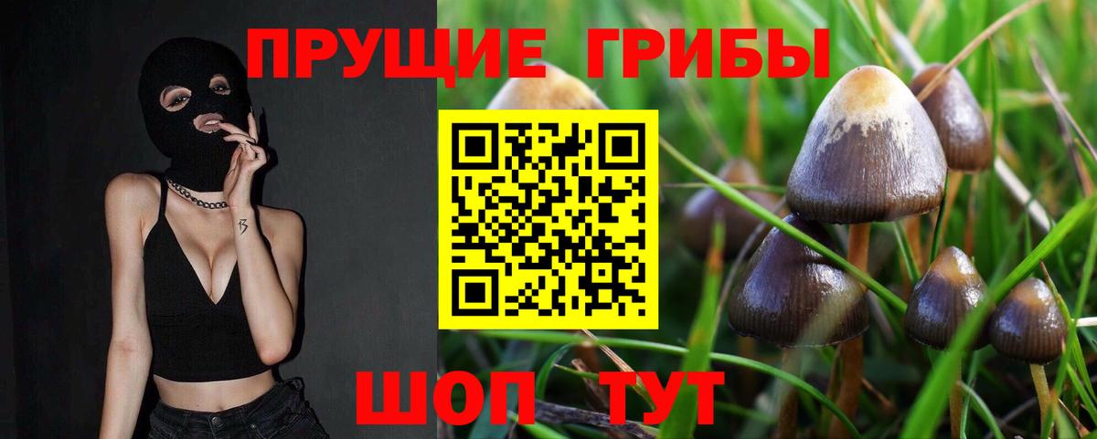 Галлюциногенные грибы ЛСД  где найти   Кировск  Вход с VPN 